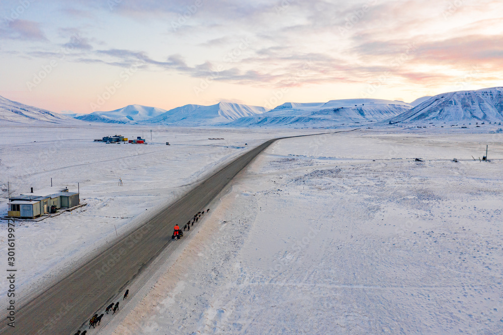 svalbard norway dog sledding