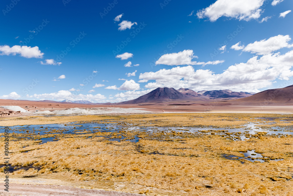 Rio Putana, Atacama Desert, Antofagasta Region, Chile