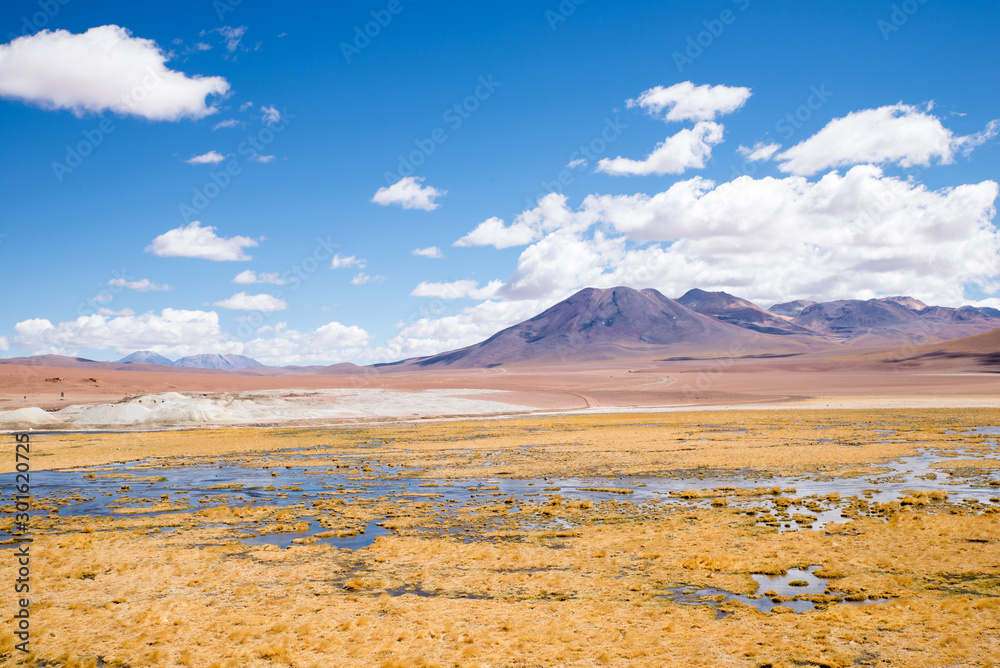 Rio Putana, Atacama Desert, Antofagasta Region, Chile Rio Putana, Atacama Desert, Antofagasta Region, Chile
