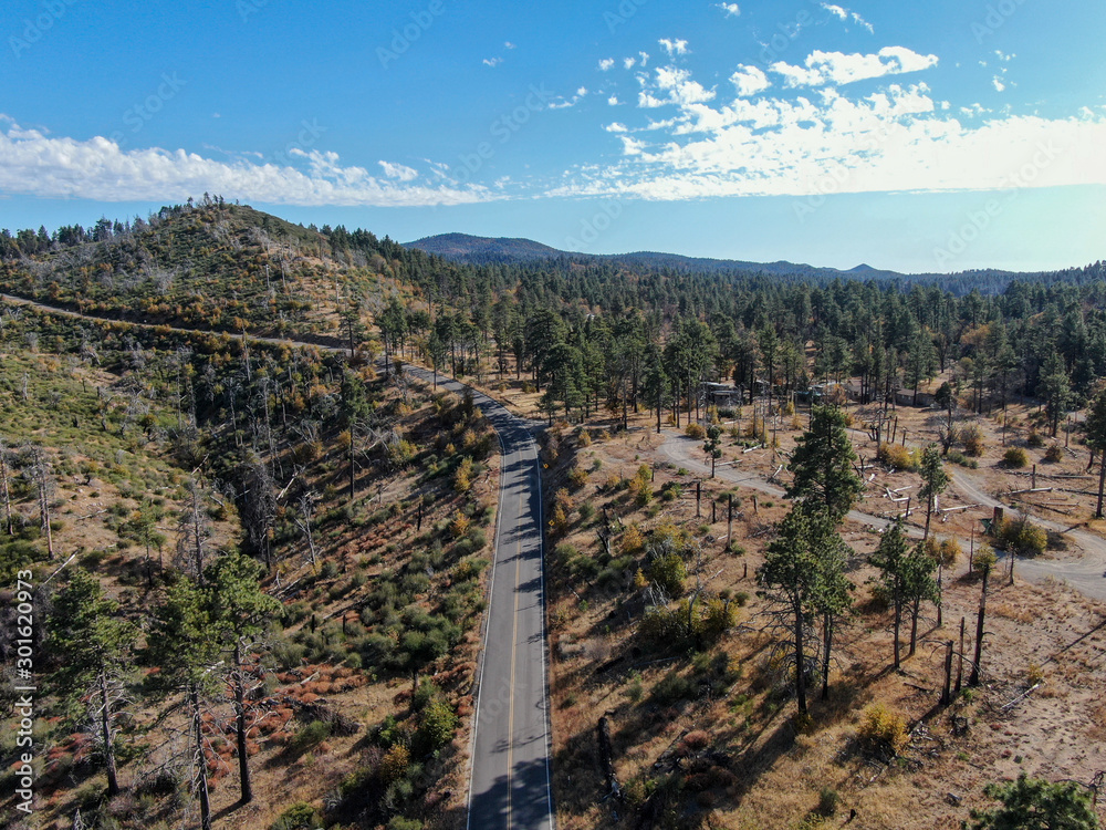 Small asphalt road in Laguna Mountains during dry fall season, mountain on the eastern edge of the Cleveland National Forest. San Diego Country, California, USA