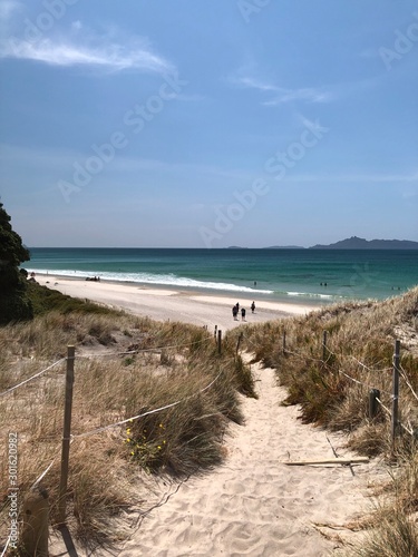 view of the beach - New Zealand summer