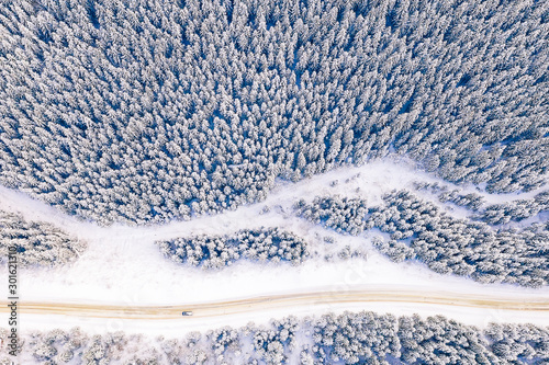 Photos Thick coniferous forest after heavy blizzard, aerial landscape