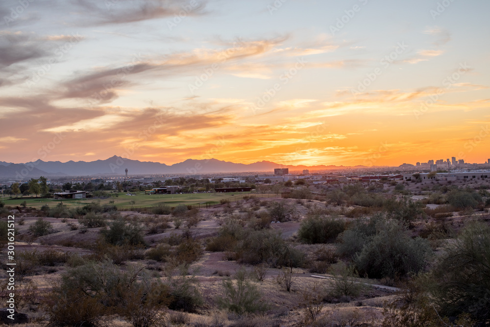 Obraz premium Phoenix City Scape at Sunset