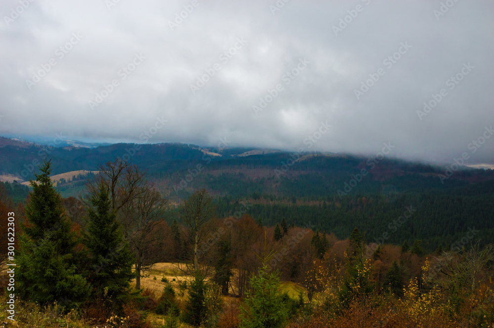 Autumn landscape backgroun in the rain with fog Autumn landscape backgroun in the rain with fog