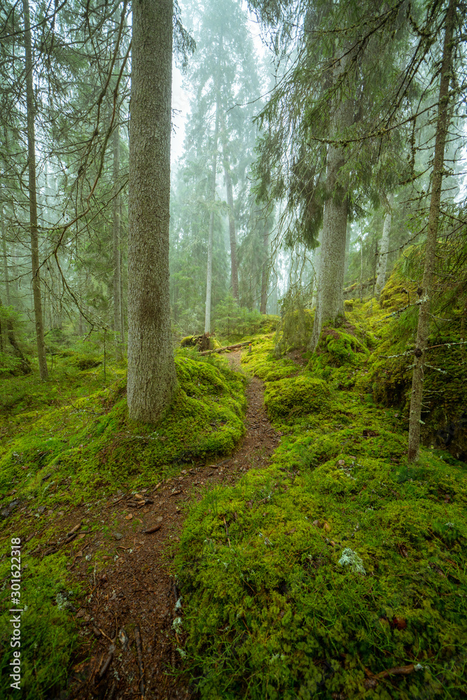 Fototapeta premium Ycke nature reserve