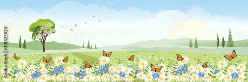 Cute cartoon panorama landscape of Spring field  with butterfly flying over daisy flowers, Lovely card of summer landscap with big tree and wild flowers field on mountains in sunny day.