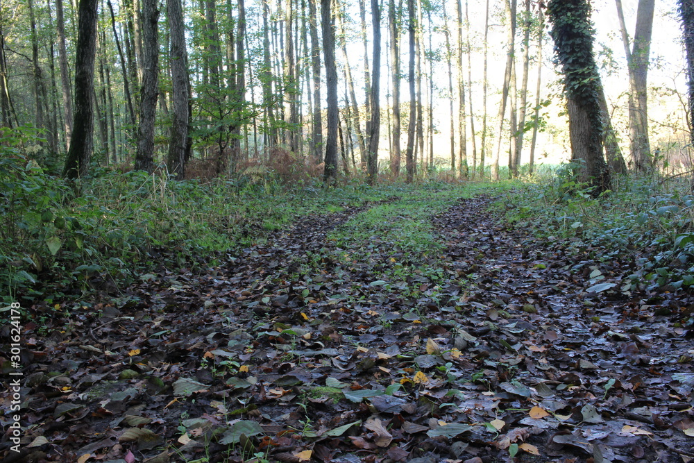 Herbstpanorama Herbstpanorama
