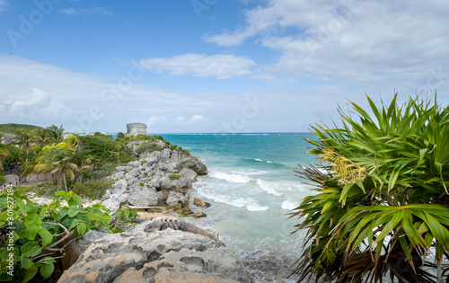 archeological area, beach and iguana, Tulum, Quintana Roo, Yucatan peninsula, Mexico photo