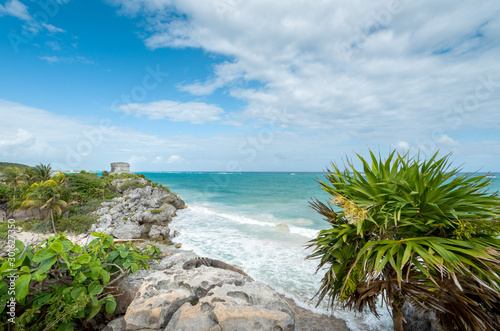 archeological area, beach and iguana, Tulum, Quintana Roo, Yucatan peninsula, Mexico © AnneSophie
