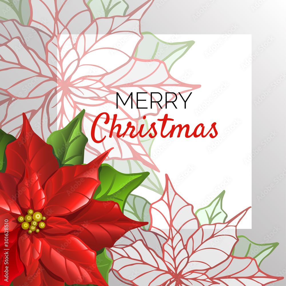Postcard Christmas template with poinsettia flowers. Floral background. Stylized poinsettia. Vector illustration. 