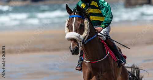 Close up portrait of race horse on the beach