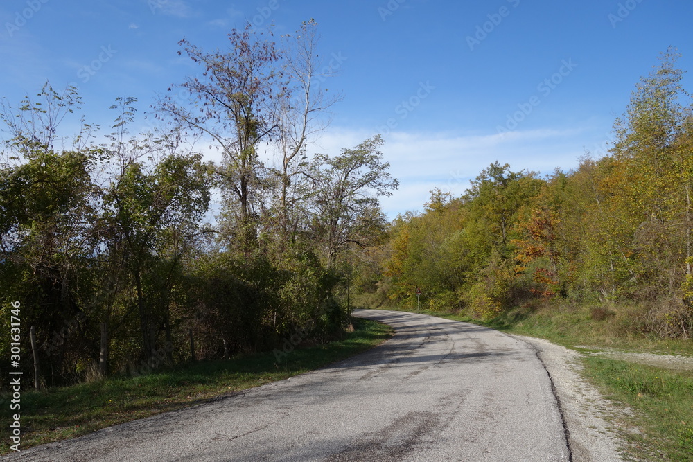 Fototapeta premium Strada