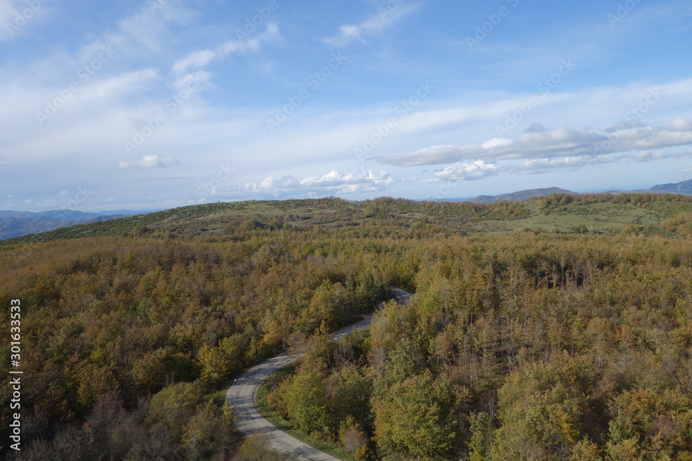 Fototapeta premium Strada nel bosco