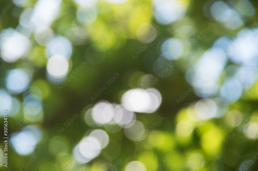 Green blurred background and sunlight