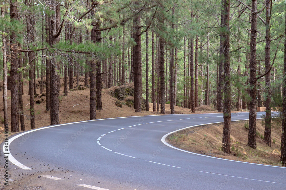 Obraz premium carretera de montaña