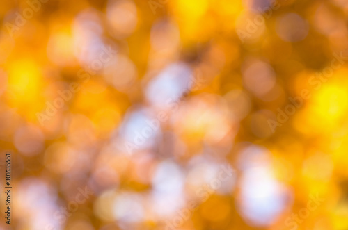 autumn background with sunny rays