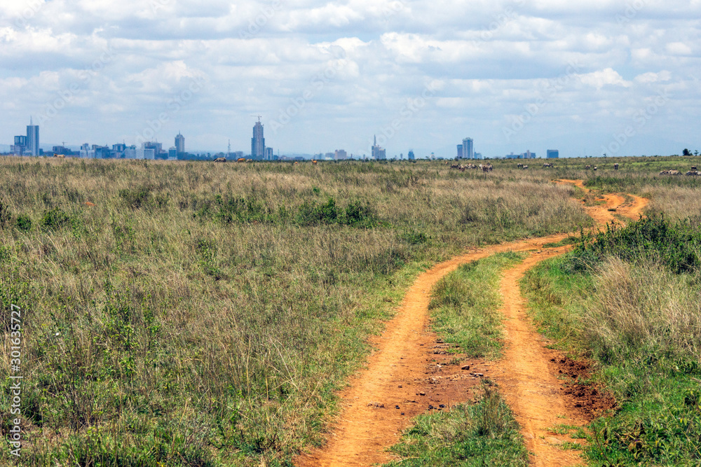 Gravel road towards Nairobi city skyline. Mankind vs. wilderness, endangered nature and world herritage concept.