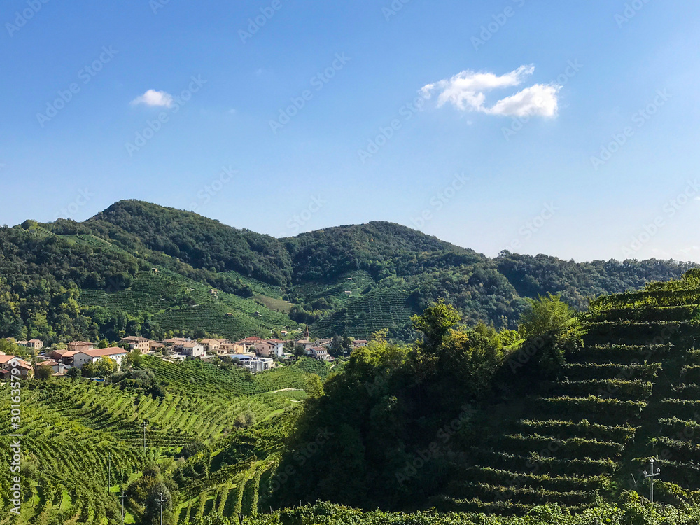 Prosecco Vinyard with Hills and Houses in Valdobbiadene, Veneto, Italy