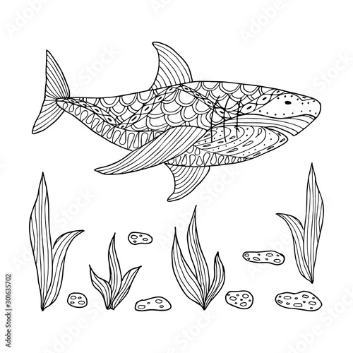 Shark under the sea water, saewares and stones. Hand drawn coloring page. Stock vector illustration.