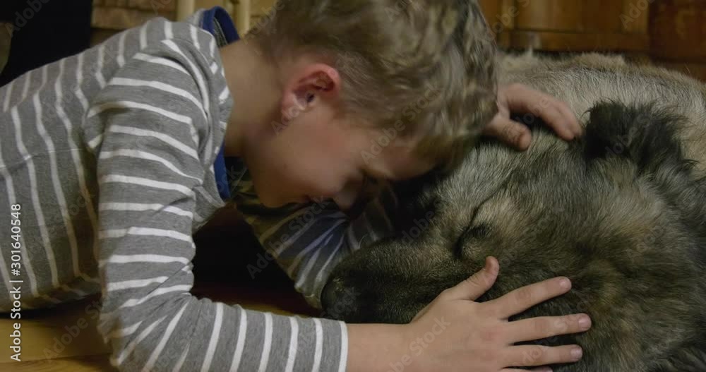 The boy strokes a sleeping dog on the head and puts his head on her neck. Big Caucasian shepherd and a boy lie nearby, the dog is sleeping, in the interior of a wooden house. The boy strokes a sleeping dog on the head and puts his head on her neck. Big Caucasian shepherd and a boy lie nearby, the dog is sleeping, in the interior of a wooden house.