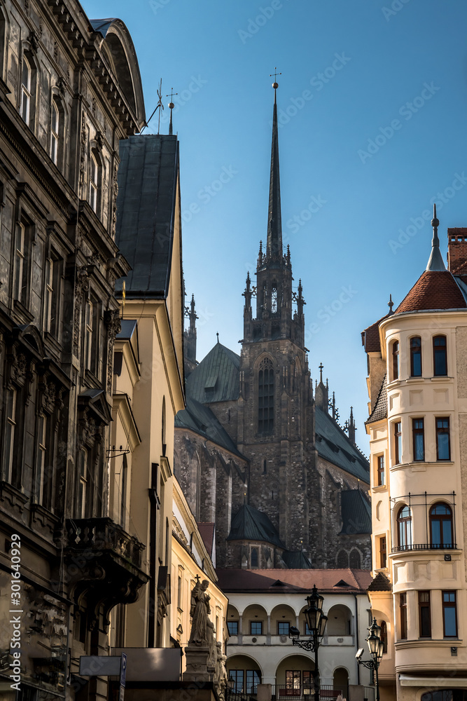 Obraz premium Cathedral of Saints Peter and Paul in Brno in the Czech Republic