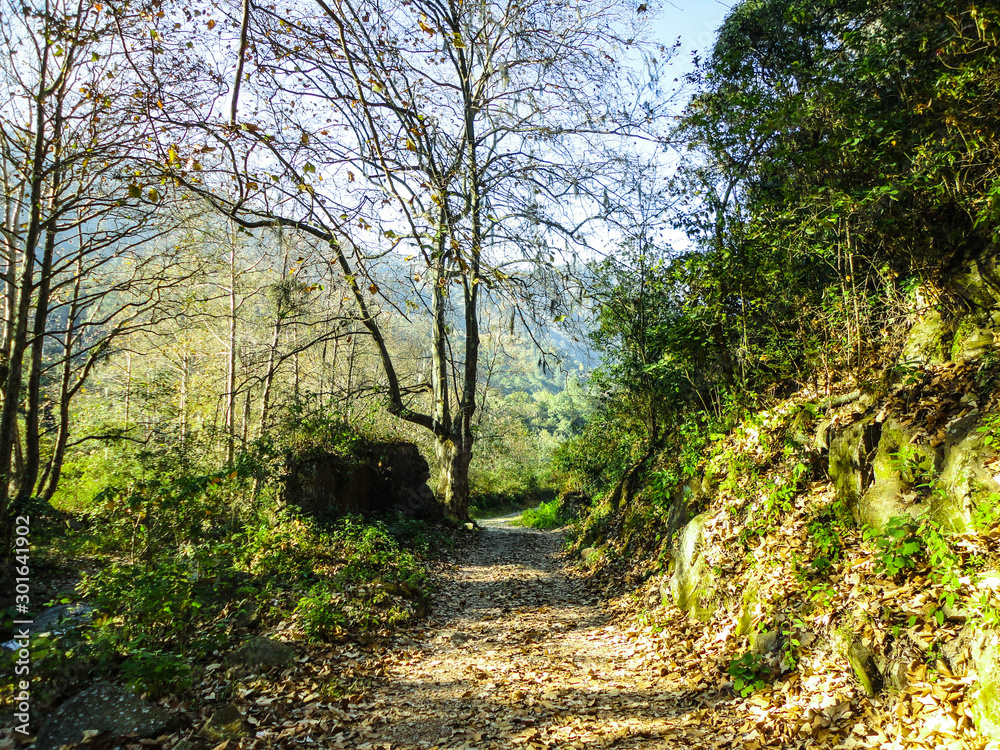 Fototapeta premium Long road, Puebla