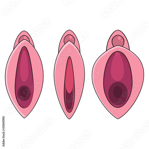 Set Human Vagina, Vaginal Opening Or Female Reproductive Sex Organ Line Art Vector Icon For Websites