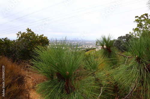 Los Angeles, detail view of Kenneth Hahn State Recreation Area. Is a State Park unit of California in the Baldwin Hills Mountains of Los Angeles photo