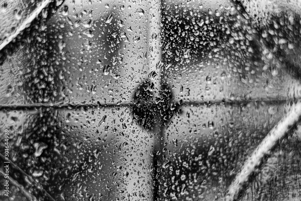 Obraz premium Gotas de Lluvia