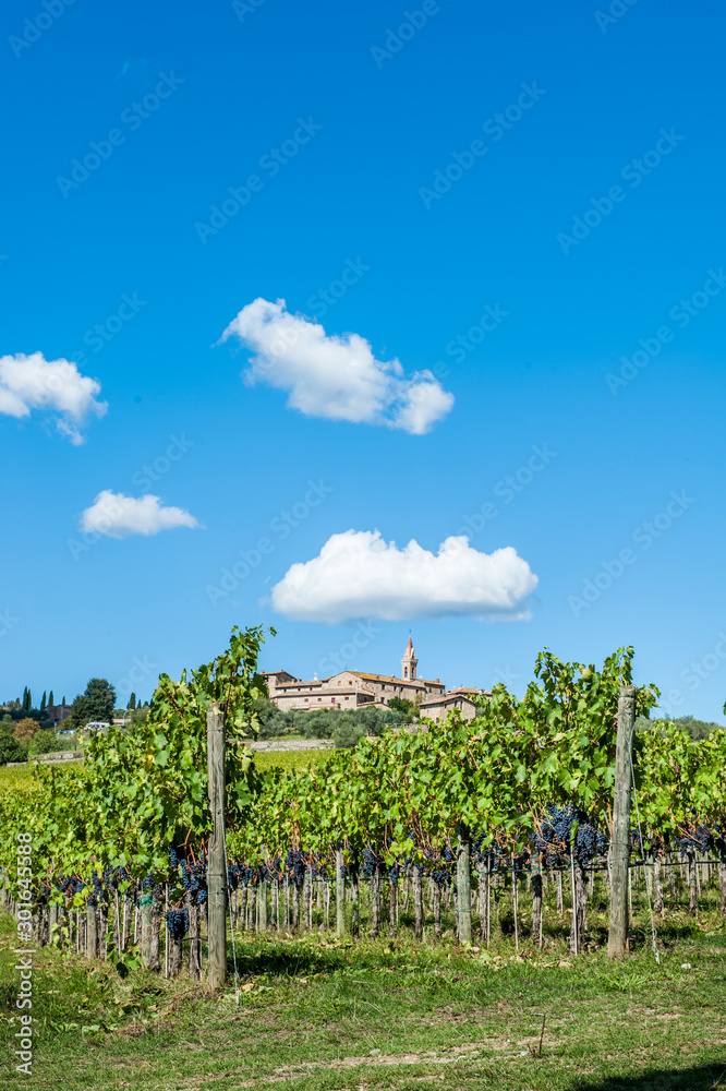 Paesaggiodel Chianti Classico, Siena, Toscana, Italia Paesaggiodel Chianti Classico, Siena, Toscana, Italia