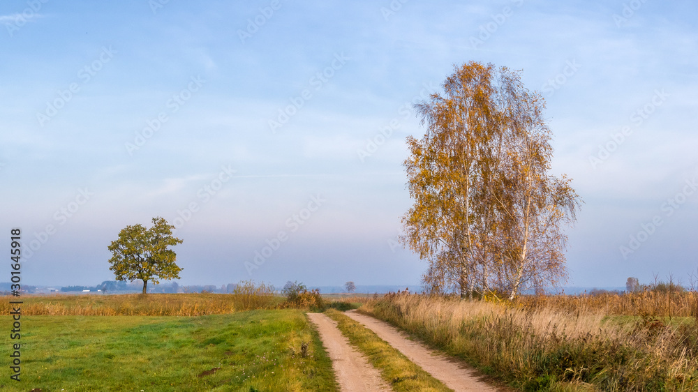 Złota polska jesień na Podlasiu, Dolina Narwi, Podlasie, Polska Złota polska jesień na Podlasiu, Dolina Narwi, Podlasie, Polska