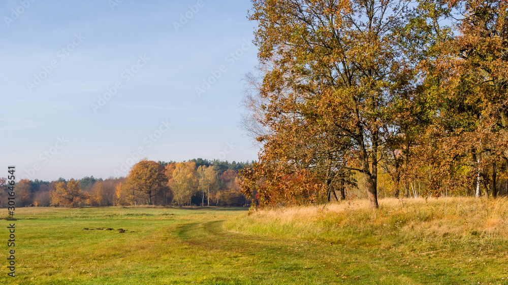 Złota polska jesień na Podlasiu, Dolina Narwi, Podlasie, Polska