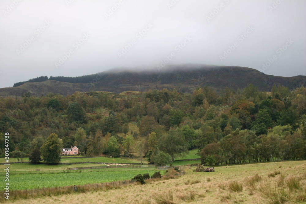 Fototapeta premium Highlands