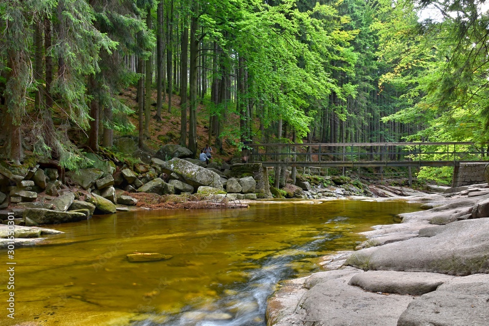 Mumlava river and wooden bridge in the Giant Mountains - Czech republic