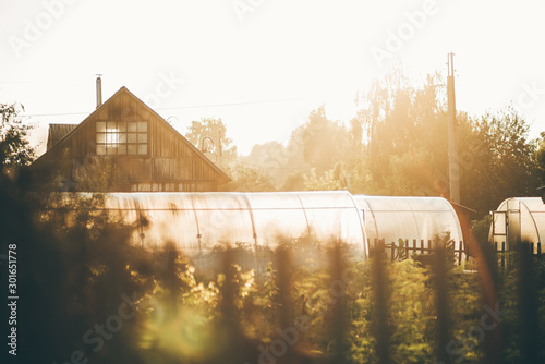View with a shallow depth of field of a summer garden, several greenhouses, and a country house with a triangle roof backlit by evening sun, warm summer vibes, wooden fence in a defocused foreground