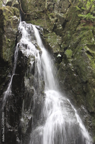 Fototapeta Naklejka Na Ścianę i Meble -  山の中の小さな滝