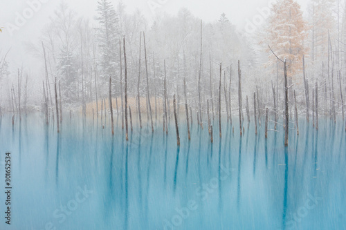 青い池 © makieni
