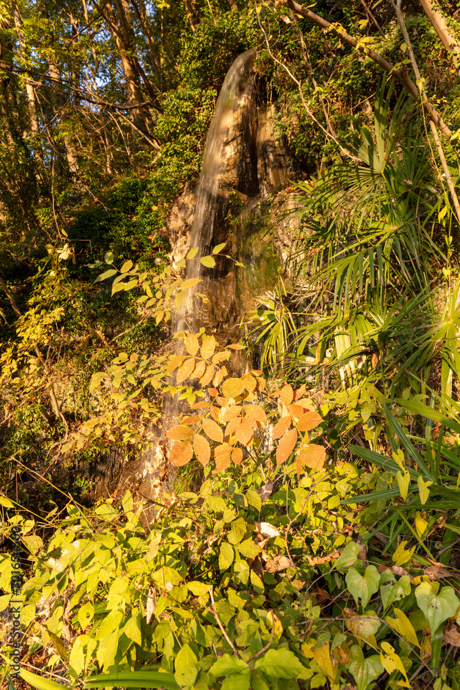 牧水の滝の紅葉