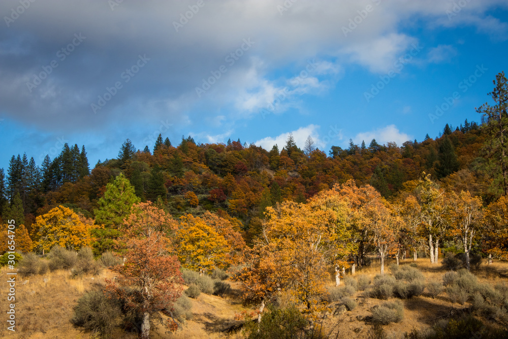 Autumn Day in Hayfork, California