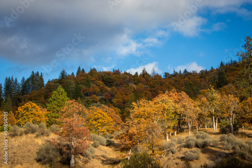 Autumn Day in Hayfork, California