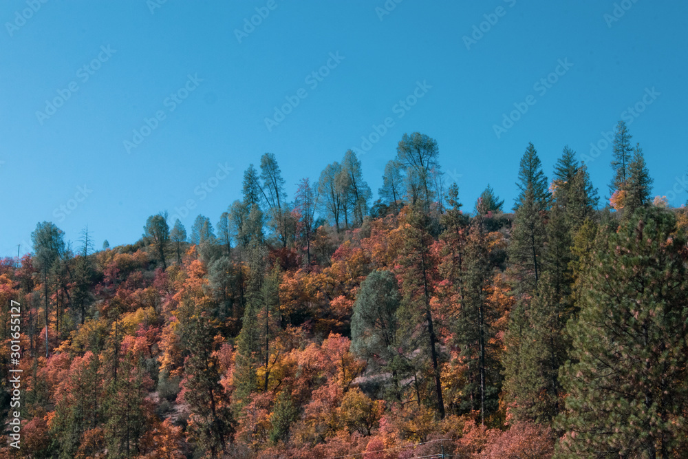 Autumn Landscape in Hayfork, California