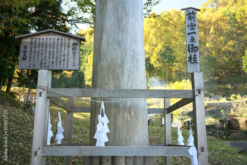 Tokyo,Japan-November 9, 2019: A fir pillar or Onbashira at Mae-Miya of Suwa Taisha or Suwa shrine in Japan photo