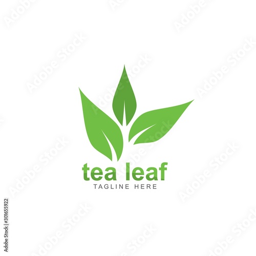 tea leaf logo vector icon illustration design 
