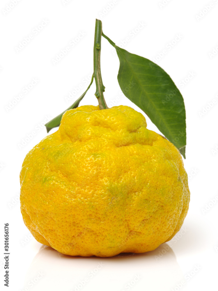 ugly tangerine on a white background 