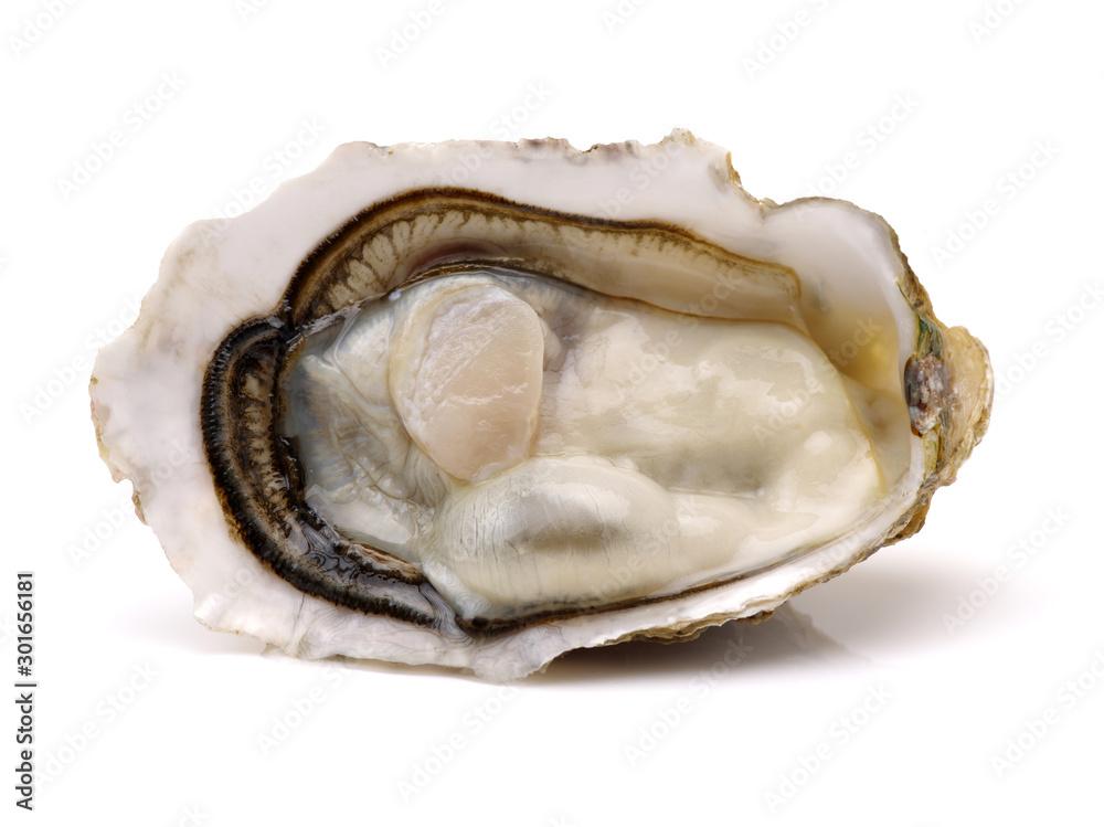 Fresh opened oyster on white background Fresh opened oyster on white background