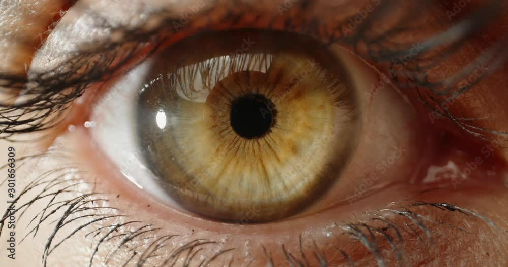 Extreme close up shot of beautiful female eye with green iris blinking and looking at camera - 4k footage