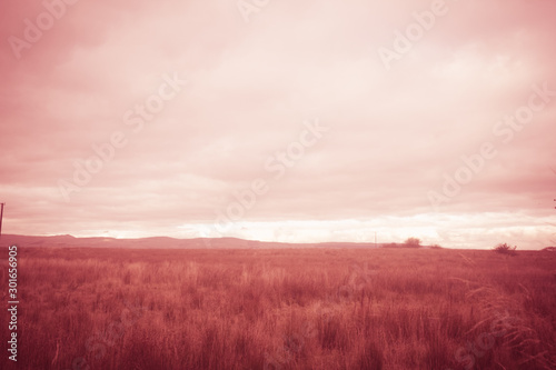 Fantasy rural landscape with fields and blurry sky