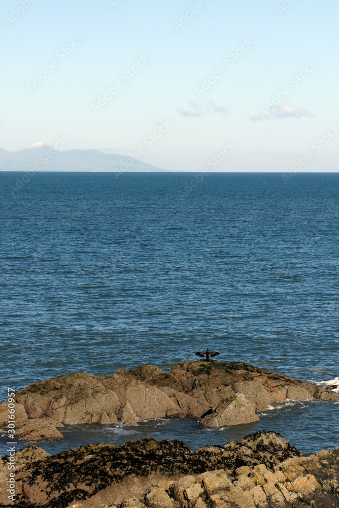The rocky shore of the Irish Sea. Landscape of Ireland. The rocky shore of the Irish Sea. Landscape of Ireland.
