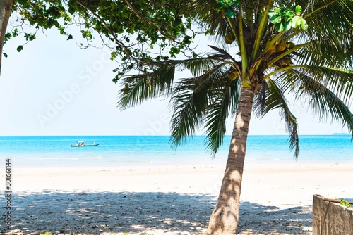 Fototapeta Naklejka Na Ścianę i Meble -  summer sea with leaves palm tree,sky relaxing summer concept,beautiful tropical background for travel landscape