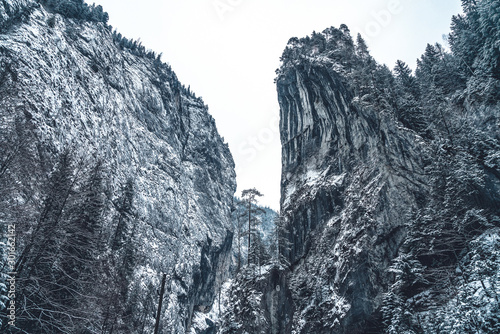 Majestic mountains in winter with white snowy spruces. Wonderful wintry landscape. Amazing view on snowcovered rock mountains. Travel background